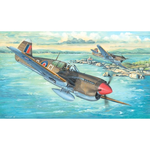 P-40M War Hawk -02211