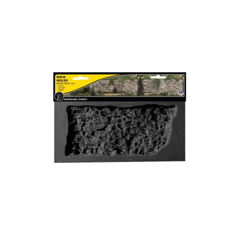 Rock Face Mold -C1248 