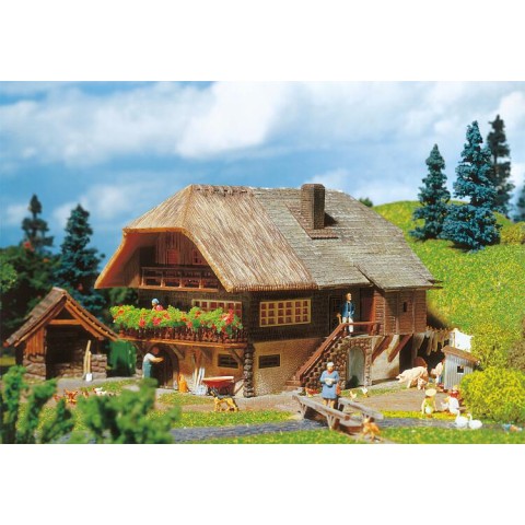 Schwarzwaldboerderij  -131379