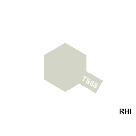 TS-88 Titanium Silver 100ml Spray