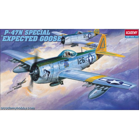 P-47N Special -12281