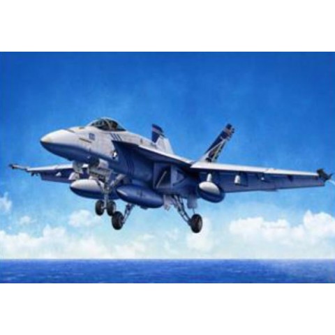 USN F/A 18E VFA 143 Pukin Dogs -12547