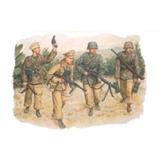 Hermann Göring Division Tunisia 1943 -6036