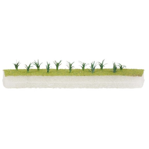 HO 20 Preiplanten -181288