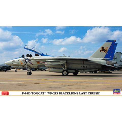 F-14D Tomcat VF-213 Blacklions Last Cruise -02406