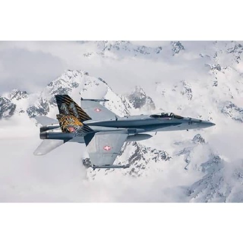 F/A-18 Hornet Tiger Meet 2016 -1394