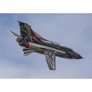 TORNADO IDS -1403