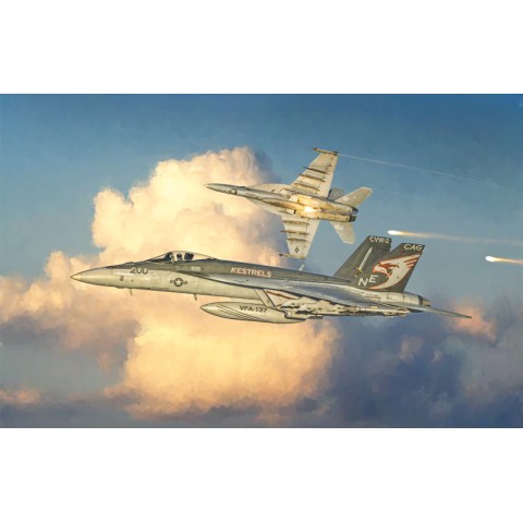 F/A-18 E SUPER HORNET -2791