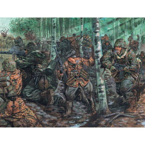 German elite troops -6068