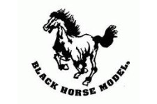black horse