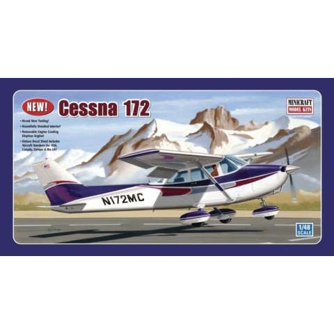 Cessna 172 (Fixed Gear) -11635