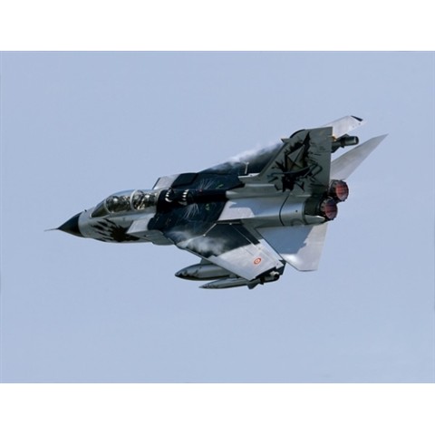 TORNADO IDS “Black Panthers”-1291