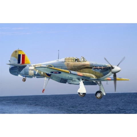 Sea hurricane