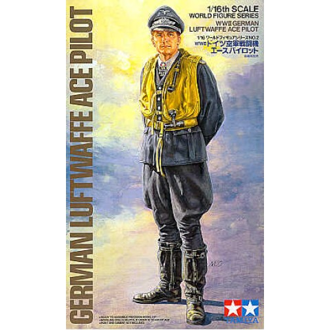 German Luftwaffe Ace Pilot -36302