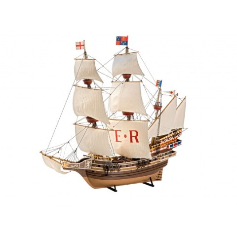 English Man O'War -05429