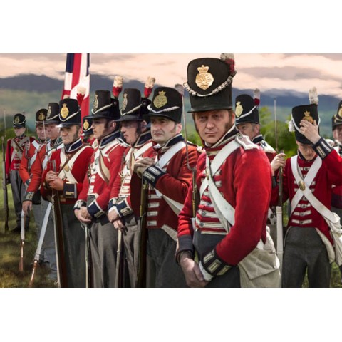 British Infantry Standing at Ease -162