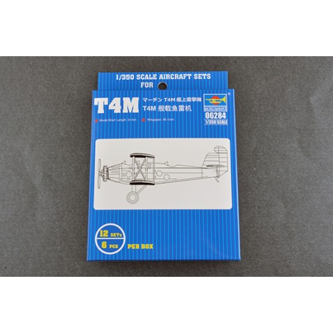 T4M -06284