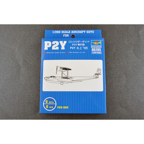 P2Y -06285